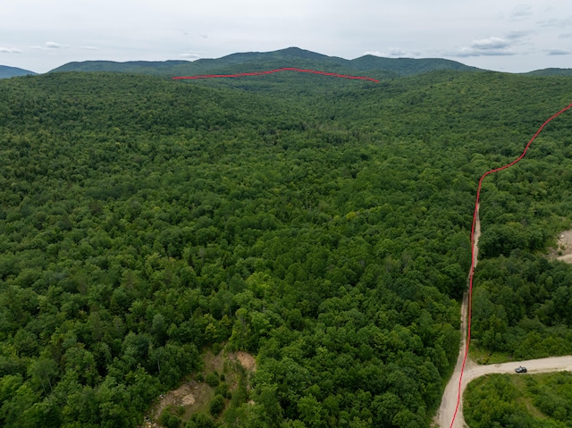 MAP10 Dow Brook Rd, Peru, ME 04290 - photo 33