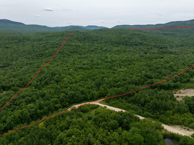 MAP10 Dow Brook Rd, Peru, ME 04290 - photo 34