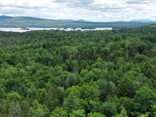 479 Rockwood Rd, Moosehead Junction Twp, ME 04441 - photo 5