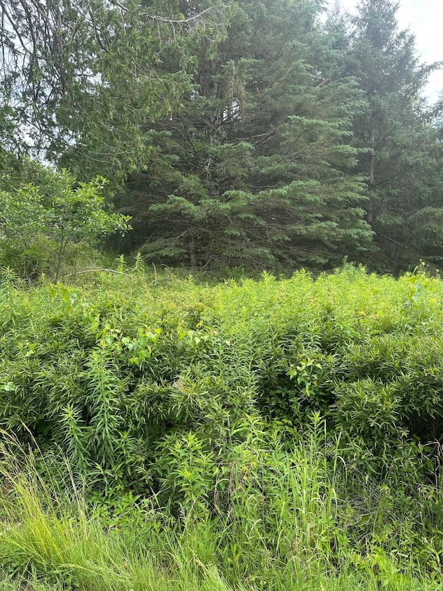 LOT5 Soper Rd, Orland, ME 04413 - photo 1