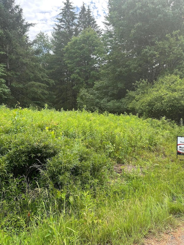 LOT5 Soper Rd, Orland, ME 04413 - photo 2