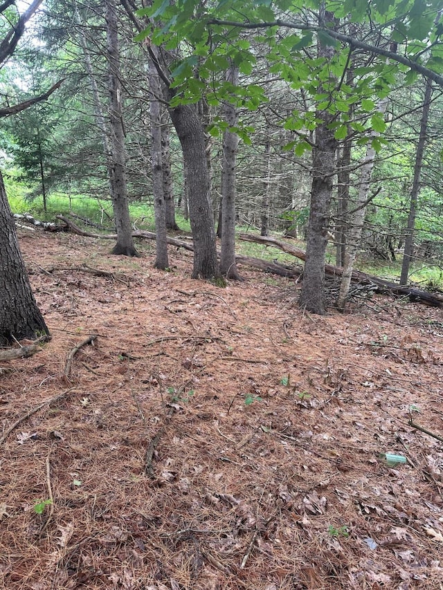 LOT5 Soper Rd, Orland, ME 04413 - photo 3