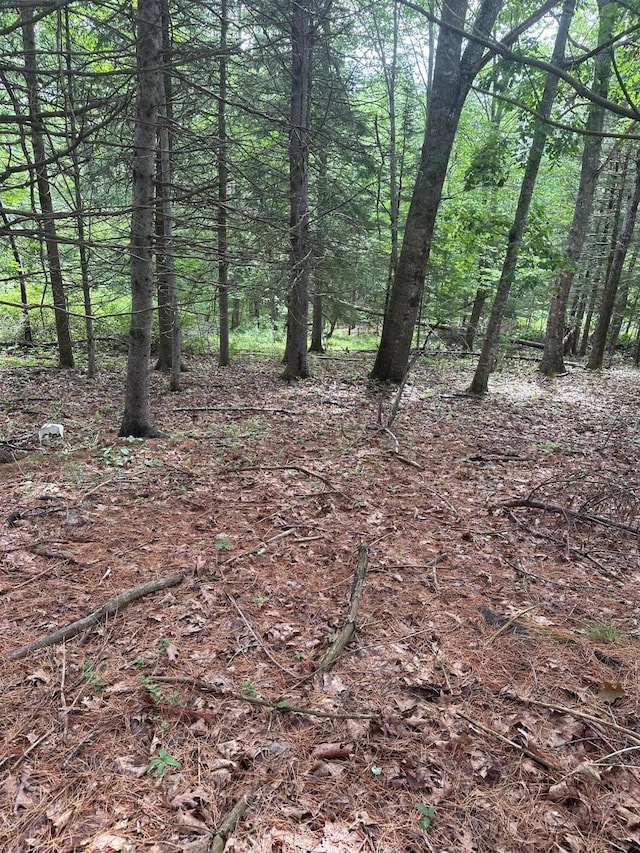 LOT5 Soper Rd, Orland, ME 04413 - photo 4