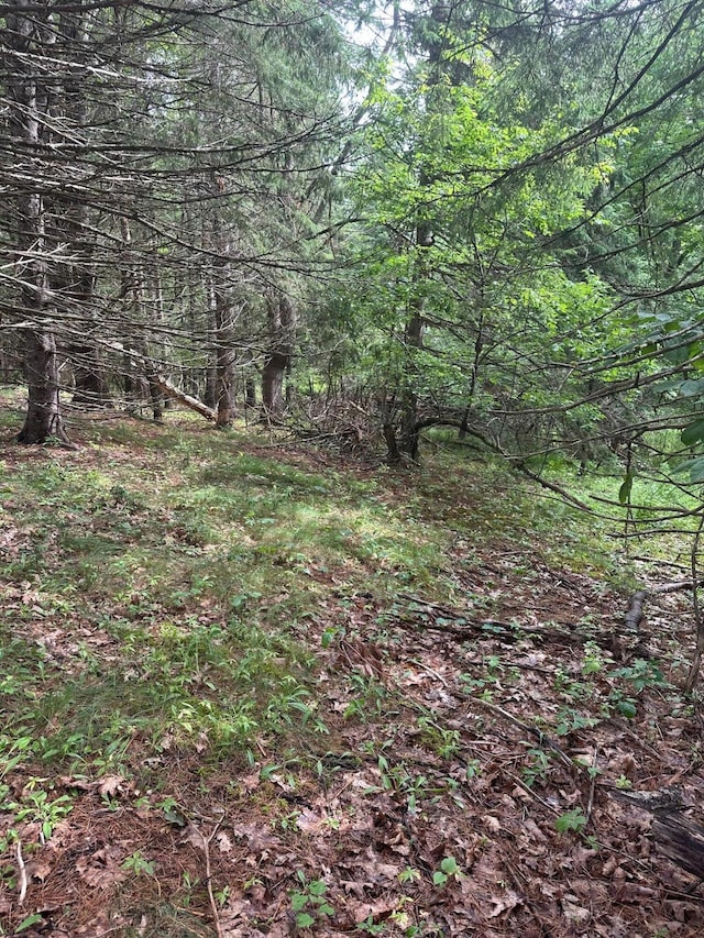 LOT5 Soper Rd, Orland, ME 04413 - photo 5