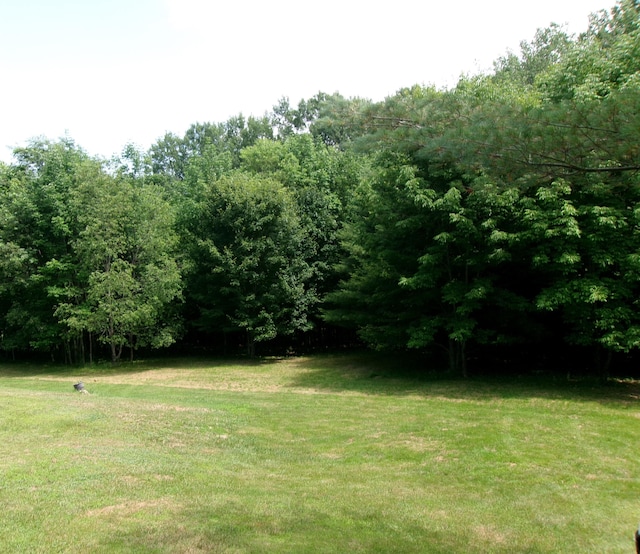 76 Gile Rd, Fayette, ME 04349 - view of grassy yard featuring a view of trees