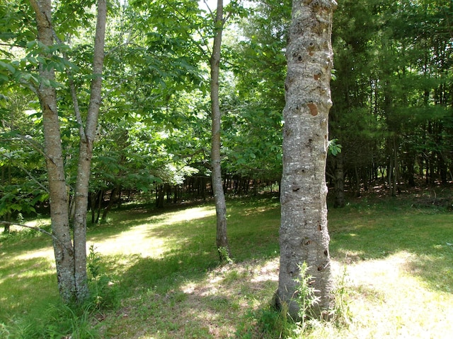 76 Gile Rd, Fayette, ME 04349 - view of green lawn