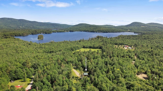 440 Pond Rd, Strong, ME 04983 - photo 29