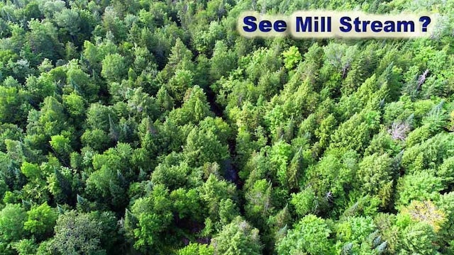 72 Albert Ln, Ludlow, ME 04730 - photo 88
