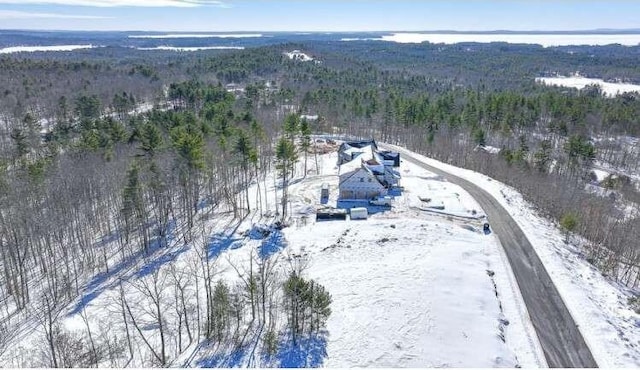 39 Sky Ridge Dr, Casco, ME 04015