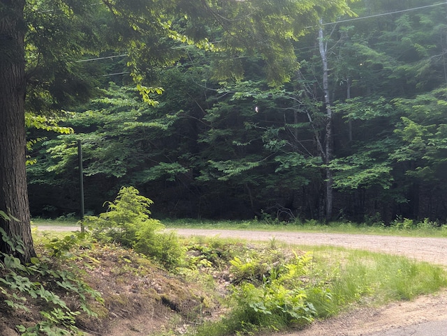 M3L1A-1 Temple Hill Rd, Waterford, ME 04088 - photo 3