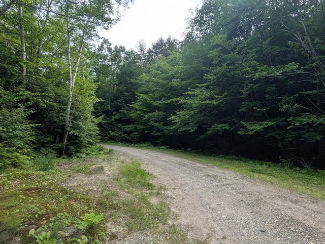 M3L1A-1 Temple Hill Rd, Waterford, ME 04088 - photo 2