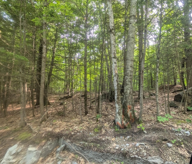 M3L1A-1 Temple Hill Rd, Waterford, ME 04088 - photo 4