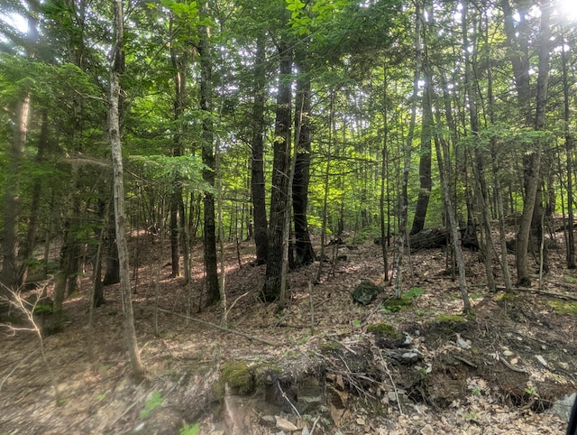 M3L1A-1 Temple Hill Rd, Waterford, ME 04088 - photo 5
