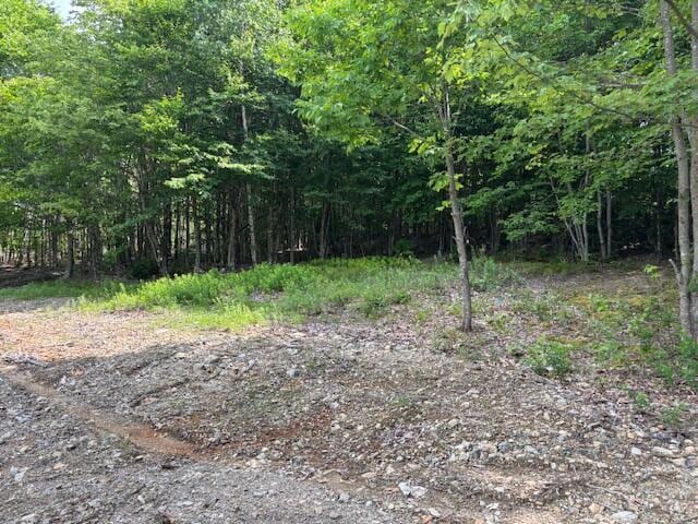 LOT11 Tower Rd, Cooper, ME 04657 - photo 1