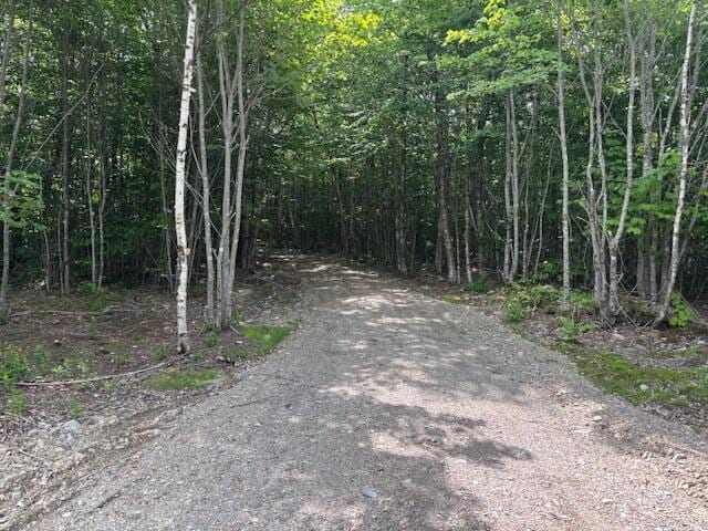 LOT11 Tower Rd, Cooper, ME 04657 - photo 2