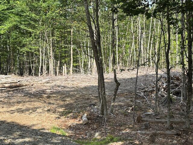 LOT11 Tower Rd, Cooper, ME 04657 - photo 4