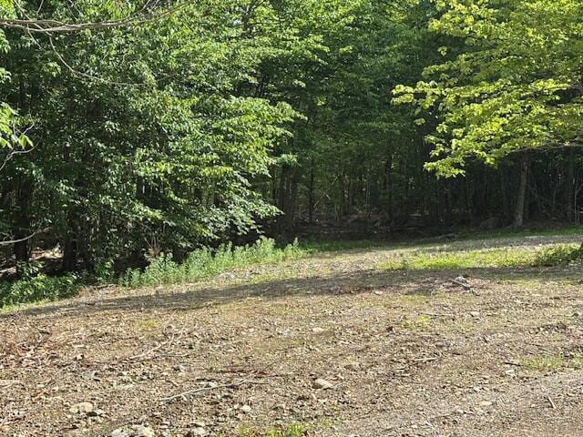 LOT11 Tower Rd, Cooper, ME 04657 - photo 5