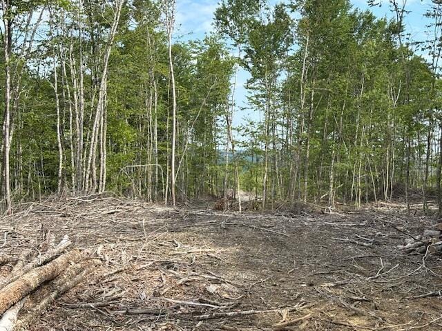 LOT11 Tower Rd, Cooper, ME 04657 - photo 6