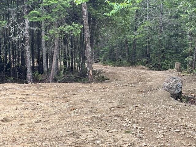 LOT11 Tower Rd, Cooper, ME 04657 - photo 7