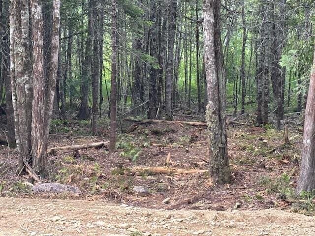 LOT11 Tower Rd, Cooper, ME 04657 - photo 8
