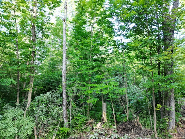 TBD Bacon Rd, Charleston, ME 04422