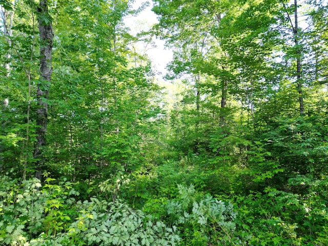 TBD Bacon Rd, Charleston, ME 04422