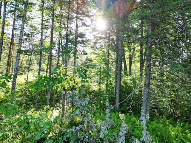 TBD Bacon Rd, Charleston, ME 04422