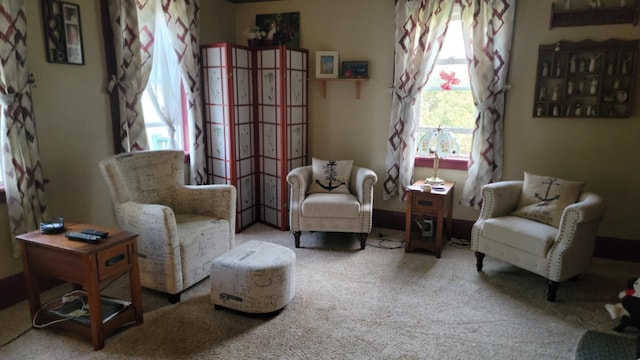 12 High St, Calais, ME 04619 - living area with carpet floors