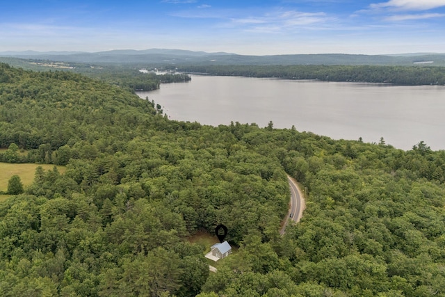 173 State Rte 121, Otisfield, ME 04270 - photo 46