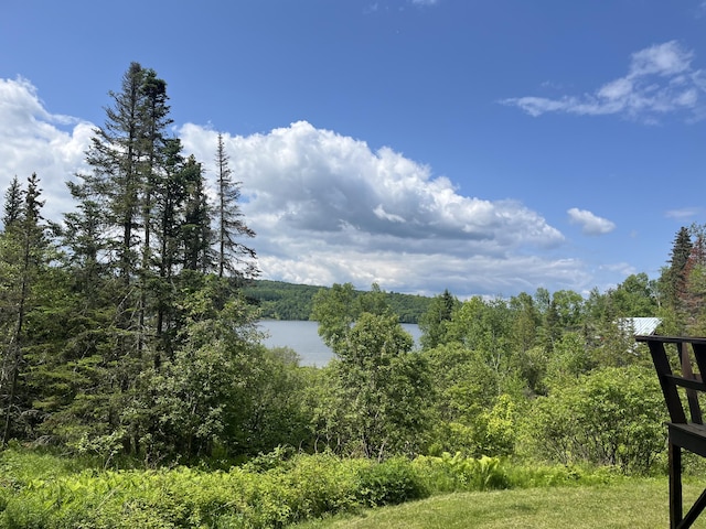 2016 Main St, Rangeley, ME 04970 - photo 22