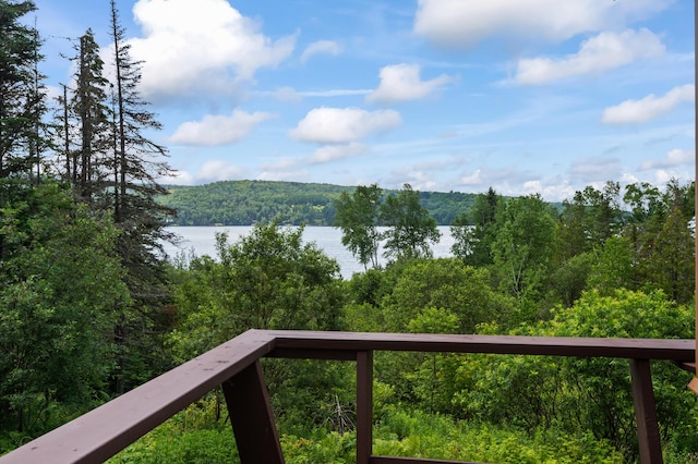 2016 Main St, Rangeley, ME 04970 - photo 4