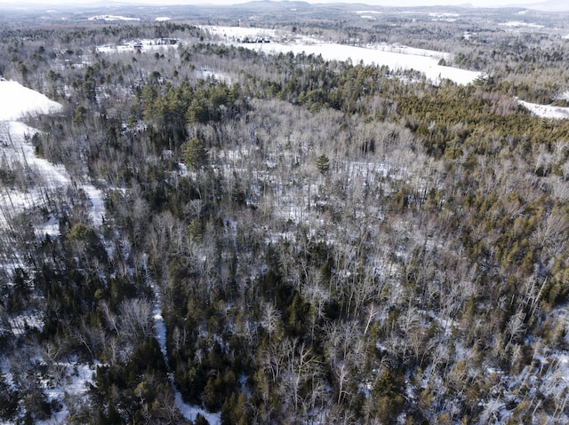 MAP7LOT54 Paine Rd, Dover-Foxcroft, ME 04426 - aerial overview of property's location featuring a heavily wooded area