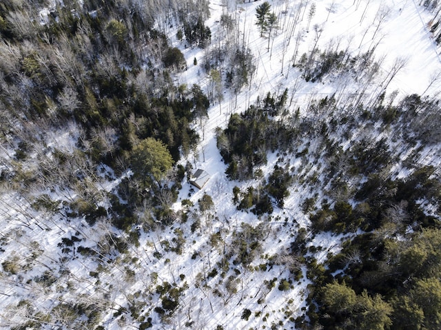 MAP7LOT54 Paine Rd, Dover-Foxcroft, ME 04426 - aerial view of property and surrounding area