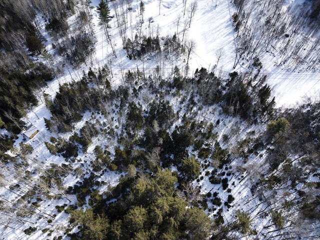 MAP7LOT54 Paine Rd, Dover-Foxcroft, ME 04426 - aerial view of property and surrounding area
