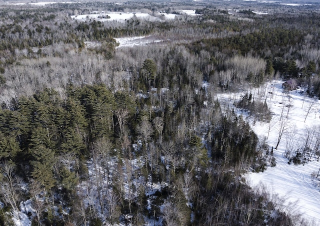 MAP7LOT54 Paine Rd, Dover-Foxcroft, ME 04426 - snowy aerial view with a forest view