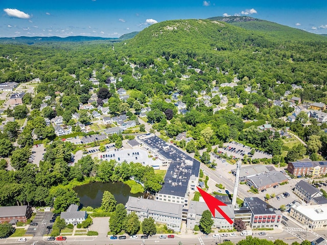 40 Washington St Unit 204, Camden, ME 04843 - photo 32