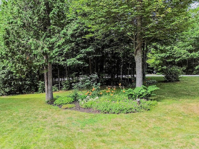 174 Mayflower Heights Dr, Oakland, ME 04963 - photo 51