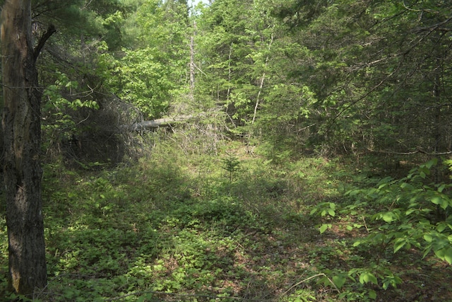 LOT3-2 Milbridge Rd, Cherryfield, ME 04622 - photo 5