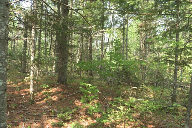 LOT3-2 Milbridge Rd, Cherryfield, ME 04622 - photo 7