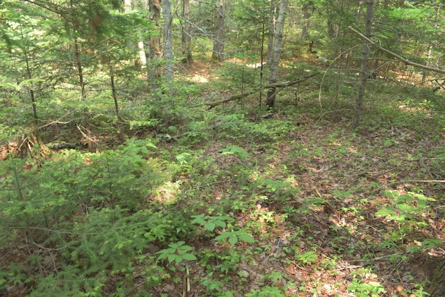 LOT3-2 Milbridge Rd, Cherryfield, ME 04622 - photo 8