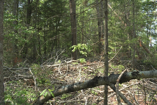 LOT3-2 Milbridge Rd, Cherryfield, ME 04622 - photo 9