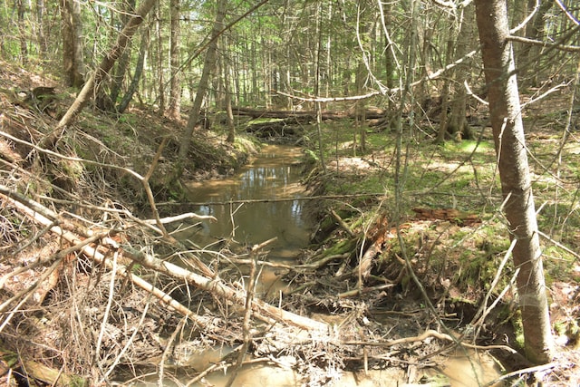 LOT3-2 Milbridge Rd, Cherryfield, ME 04622 - photo 11