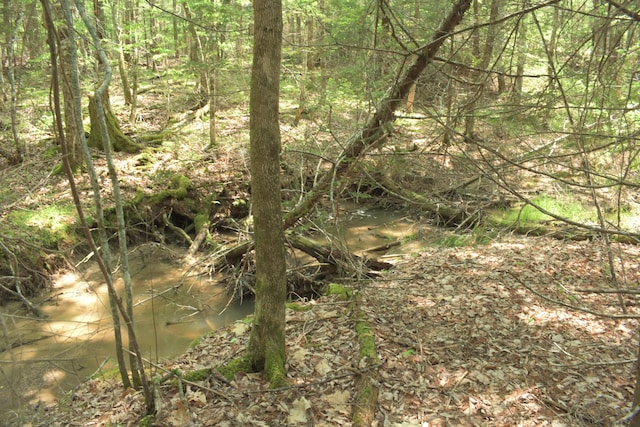 LOT3-2 Milbridge Rd, Cherryfield, ME 04622 - photo 12