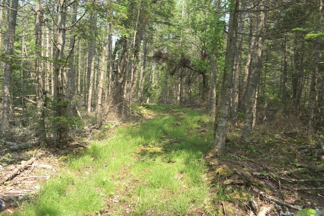 LOT3-2 Milbridge Rd, Cherryfield, ME 04622 - photo 14
