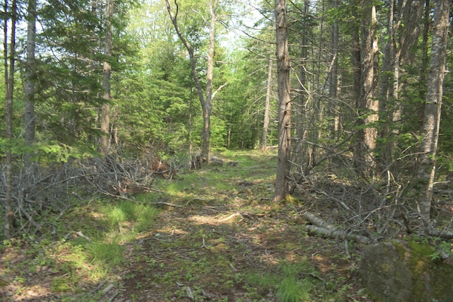 LOT3-2 Milbridge Rd, Cherryfield, ME 04622 - photo 15