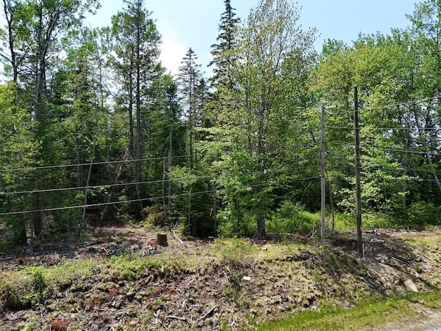 LOT3-2 Milbridge Rd, Cherryfield, ME 04622 - photo 3
