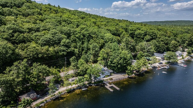 60 Canada Hill Shrs, Otisfield, ME 04270 - photo 36