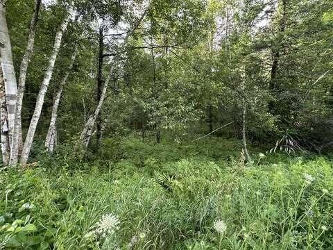 553 Corinna Rd, Saint Albans, ME 04971
