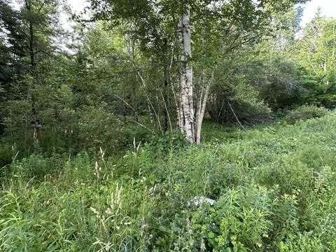 553 Corinna Rd, Saint Albans, ME 04971