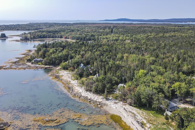 175 Paul Bunyan Rd, Gouldsboro, ME 04607 - photo 38